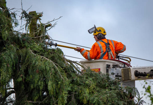 Best Utility Line Clearance  in Columbia, PA